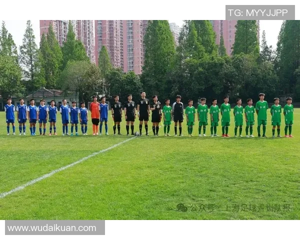 上海足球队整体压制战术解析与实战应用探讨