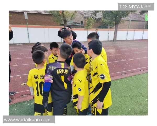 足球袜儿子成长记：从小球迷到绿茵场上的梦想追逐者